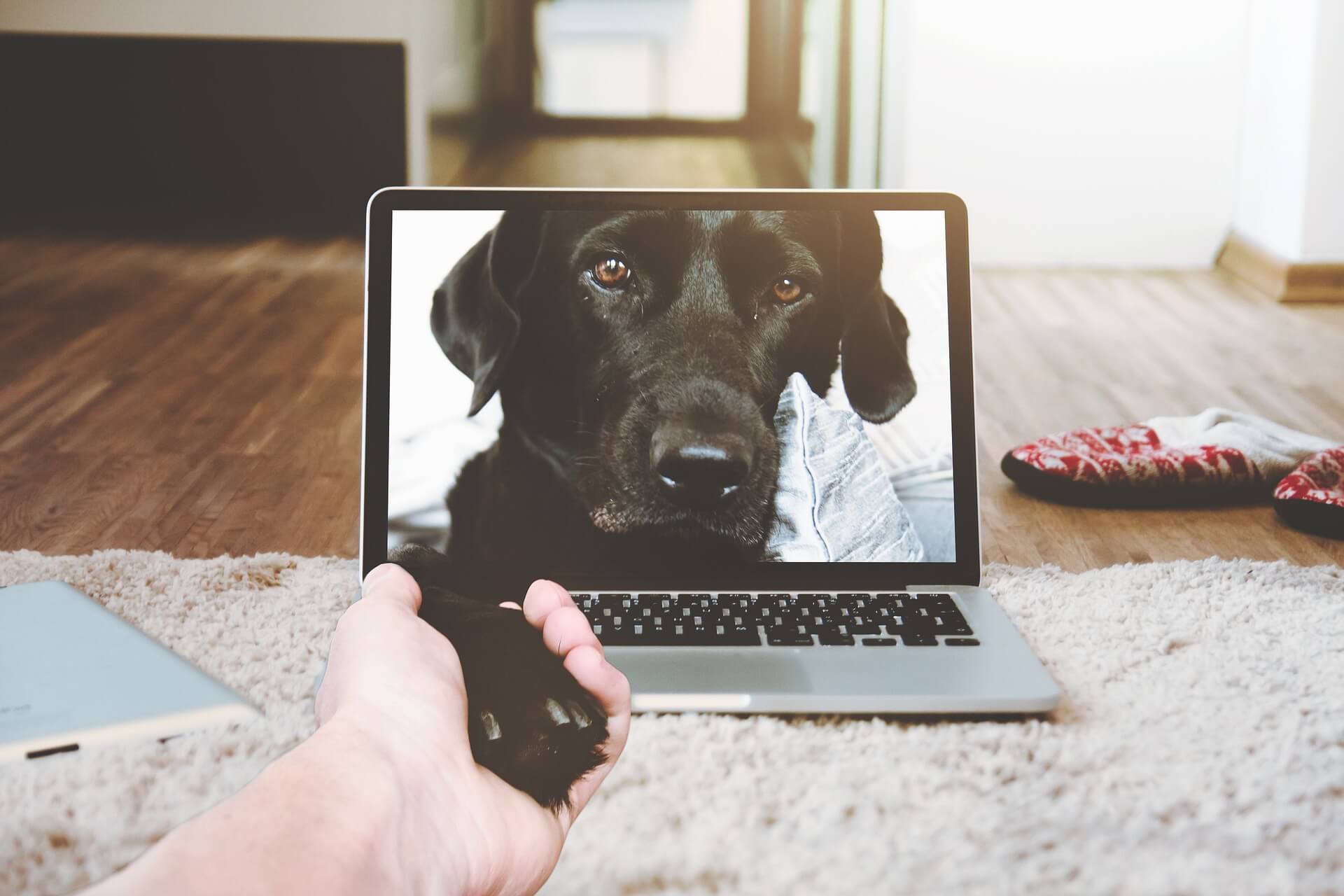 Bezpieczna przeglądarka internetowa