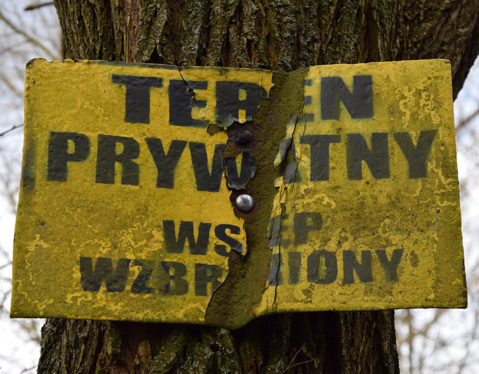 Prywatny DNS – musisz o tym wiedzieć