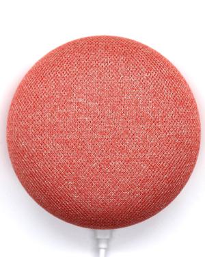 Google Assistant w Polsce