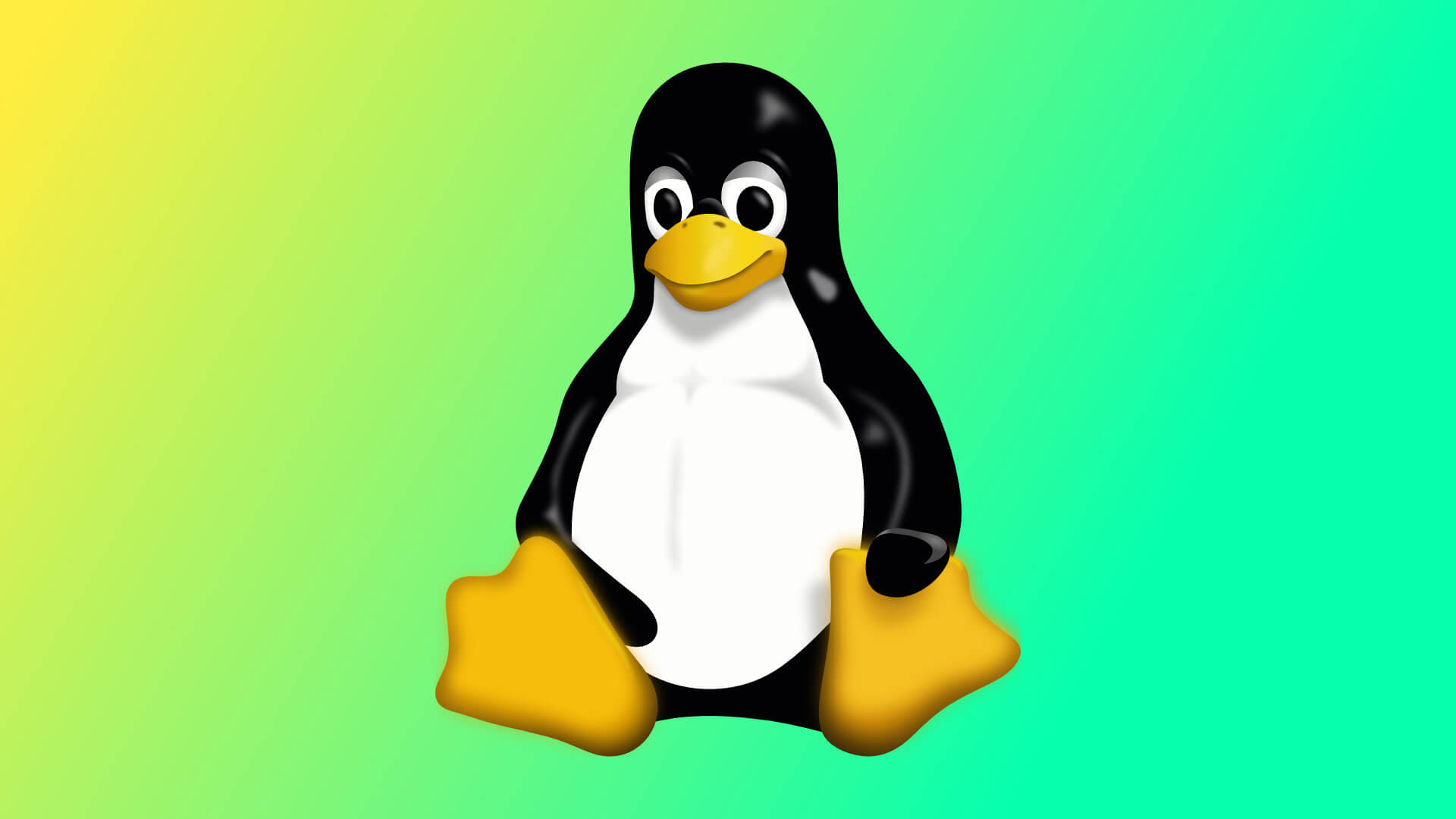 Linux dla początkujących