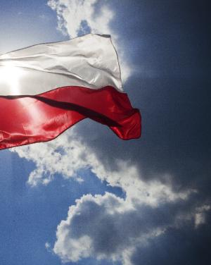 Polskie systemy inteligentnego domu